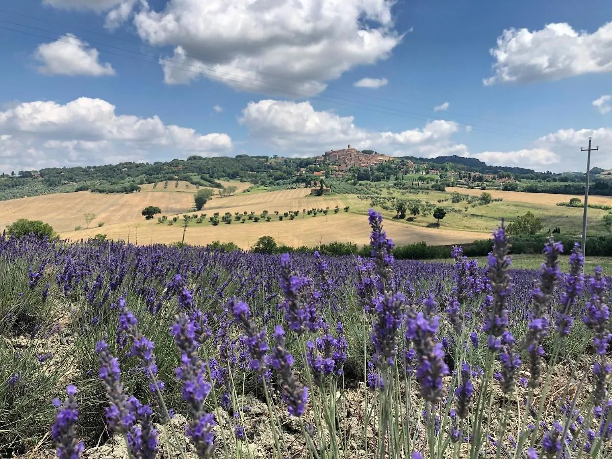 Toscana Tour - La Ninfea With Sea View Apartment Casale Marittimo 0*,
