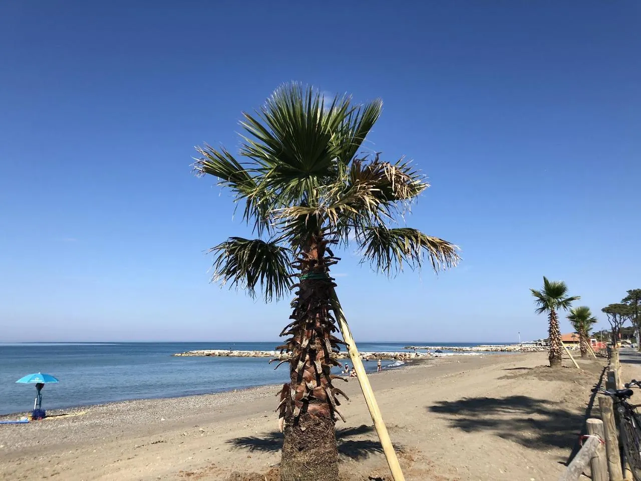 Toscana Tour - La Ninfea With Sea View Apartment Casale Marittimo